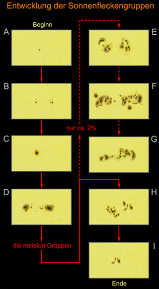 Entwicklung der Sonnenflecken Entwicklung der Sonnenflecken