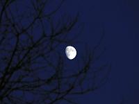 Astronomie 10  Zunehmender Abendmond am 29.10.2009 gegen 18:00 Uhr, aufgenomme in Lonsee.