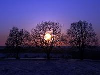 DieSonne 34  Sonnenuntergang durch B&auml;me &uuml;ber Ettlenschie&szlig; am 15.03.2013 gegen 19:10 als ich bei -20&deg;C eigentlich auf der Suche nach einem Kometen war.