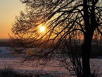 DieSonne 35  Sonnenuntergang durch B&auml;me &uuml;ber Ettlenschie&szlig; am 15.03.2013 gegen 19:12 als ich bei -20&deg;C eigentlich auf der Suche nach einem Kometen war.