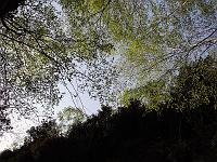 Landschaften 101  Die Schlucht bei Campione am Gardasee, 14.04.2014