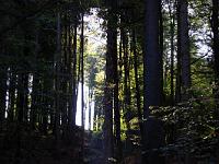 Landschaften 17  Lichtblicke am 4.10.2009 auf dem H&uuml;ndle bei Oberstaufen