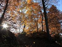 Landschaften 20  Herbststimmung bei Burg Helfenstein oberhalb Geislingen an der Steige am 1.11.2009