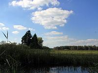 Landschaften 34  Der Federsee bei Bad Buchau am 19.09.2010