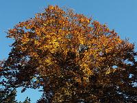Landschaften 72  Herbst am Rosenstein bei Bartholom&auml; am 21.10.2012