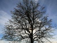Landschaften 76  Schweizer Winterlandschaft am 12.01.2013