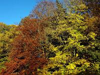 Landschaften 90  Herbststimmung am 24.10.2013