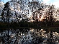 Landschaften 91  Ein kleiner Teich bei Nellingen, 29.10.2013