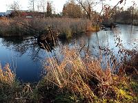 Landschaften 94  Teich hinter dem Schloss Werdenstein in Dellmensingen am 23.12.2013