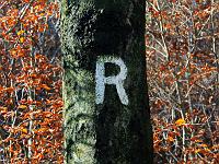 Menschen 05  Das Rennsteig R im Th&uumlringer Wald am 03.11.2011 am gro&szlig;en Inselsberg