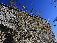Objekte 31  Herbsstimmung am Rusenschloss bei Blaubeuren am 10.10.2010