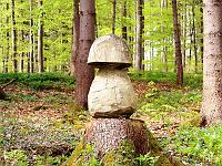 Objekte 64  Einst Baum, jetzt Pilz, 09.05.2010 : Objekte