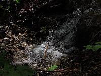 Wasser 36  Wasser, st&auml;ndig in Bewegung, Neidlinger Tal am 09.05.2010