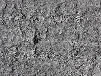 Wasser 47  Der Gardasee am 15.04.2014 aus der Luft bei viel Wind