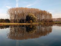 Wasser 51  Spiegelungen am Friemar Stausee bei Gotha in Th&uuml;ringen am 27.20.2014