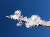 Wetterstimmungen 03  Filigrane Einskristalle auf dem Zweig eines Apfelbaums.