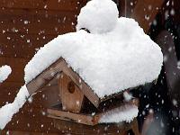 Wetterstimmungen 10  Es schneit, es schneit, ... kommt alle in das Haus .... 21.03.2007.