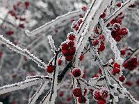 Wetterstimmungen 14  Die Nacht war kalt und am Morgen des 01.01.2014 zeigen sich auf dem H&auml;rtsfeldhof h&uuml;bsche Formen und Eisstimmungen.