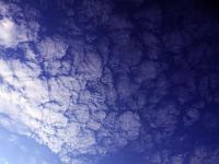 Wolken 14  Cirrocumulus am 26.07.2011.