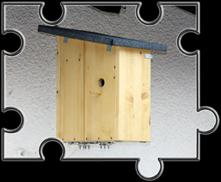 Zusammenbauansicht 5
