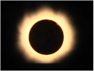 Maximum-Korona