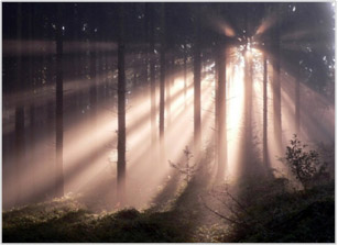 Licht