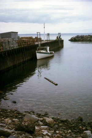 Bay of Fundy bei Flut Bay of Fundy bei Flut